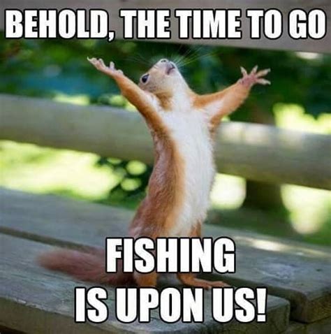 funny fishing memes